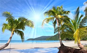 沙滩海景椰树高清风景画