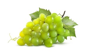 新鲜的绿葡萄高清图片
