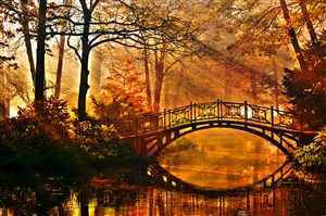 小桥流水枫叶林美景