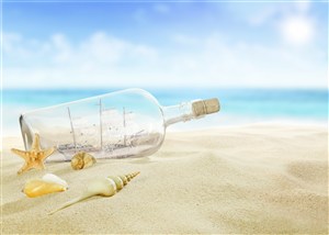 沙滩漂流瓶海星风景画