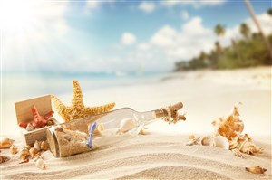 沙滩漂流瓶海星贝壳风景画