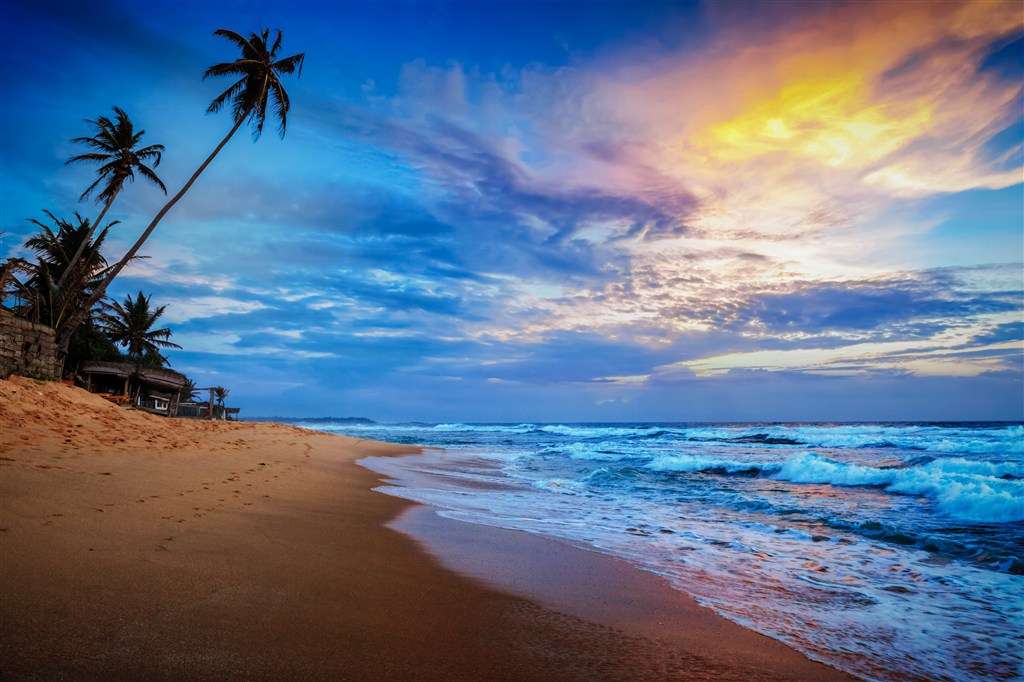 黄昏椰树海滩海景风景画