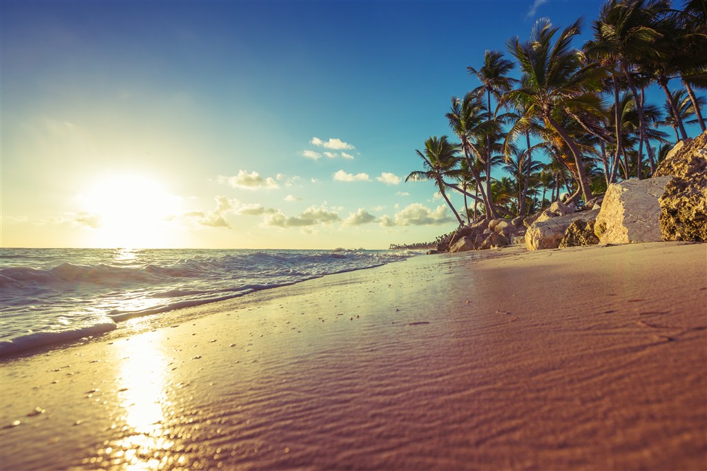 日出沙滩椰树海景风景画