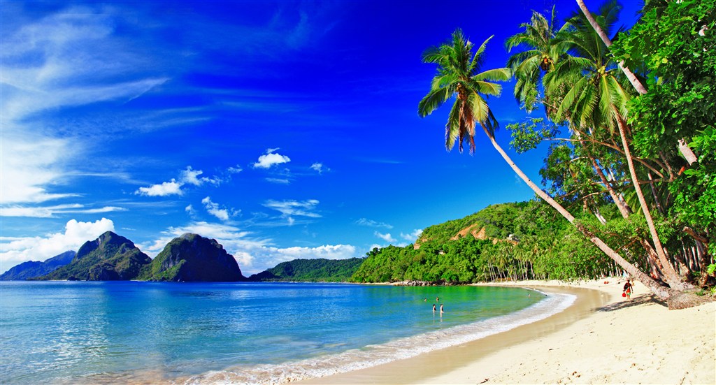 高清椰树海洋海岛风景画