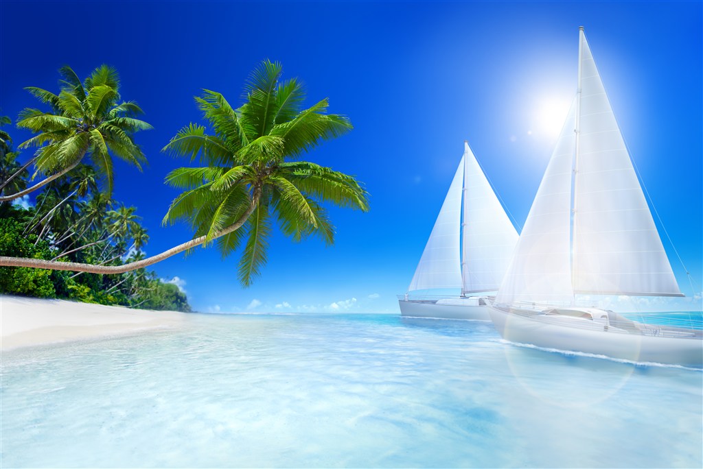 高清海景椰树帆船风景画