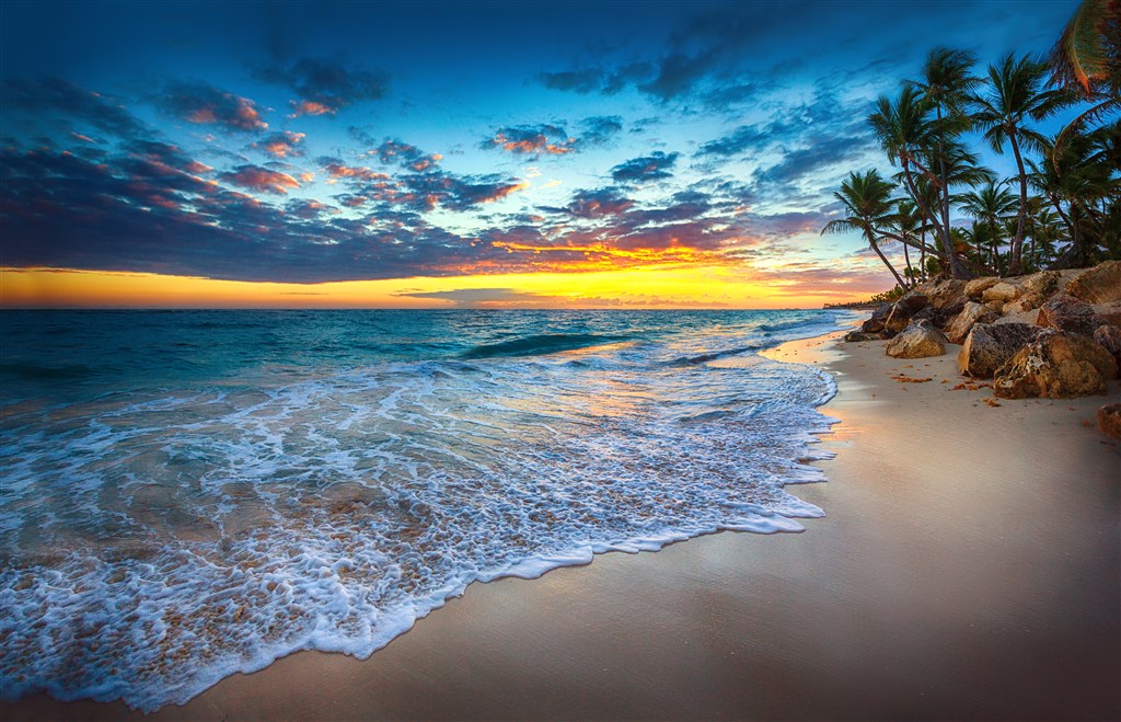 沙滩椰树海景高清风景画