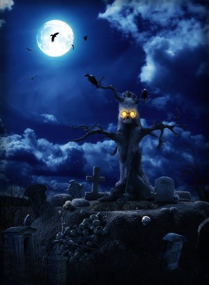 蓝色夜空下的树妖和骷髅高清图片