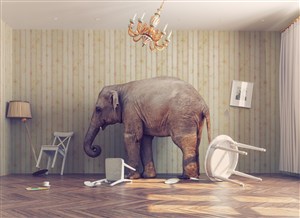 创意立体站在室内的大象高清图片