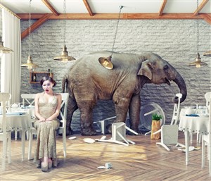 正在室内搞破坏的大象和惊讶的美女高清图片