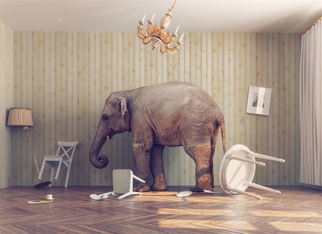 创意立体站在室内的大象高清图片