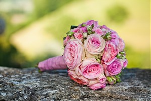 玫瑰婚礼花球花束鲜花图片
