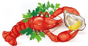 美味龙虾和牡蛎菜肴矢量素材