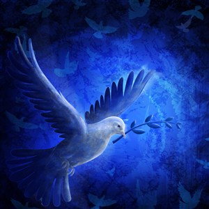蓝色背景下一只啄着橄榄枝的象征和平的鸽子(5种尺寸)