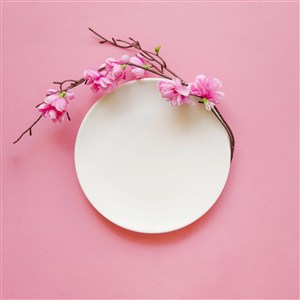  春季春天粉色樱花鲜花卉粉色桌面背景