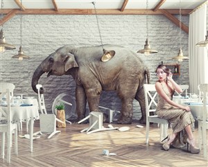 美女与大象图片