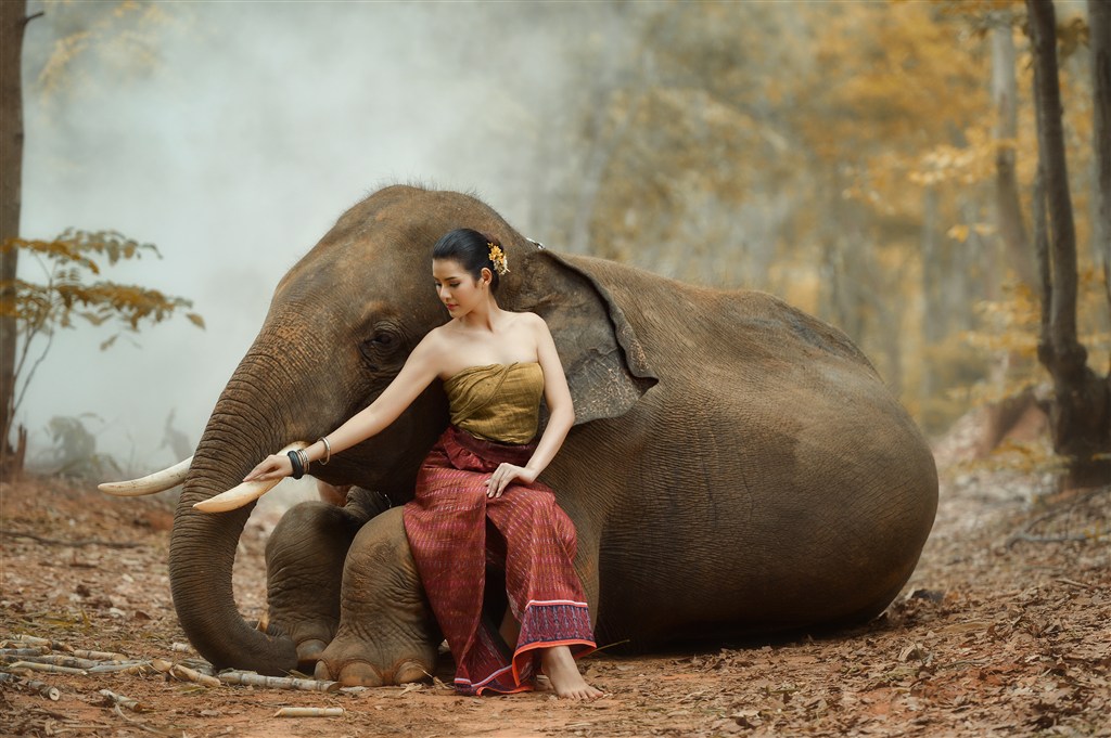坐在大象怀里的女人图片