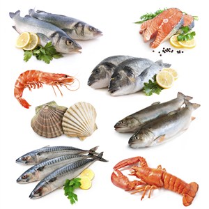 多款鱼虾海鲜食材高清图片