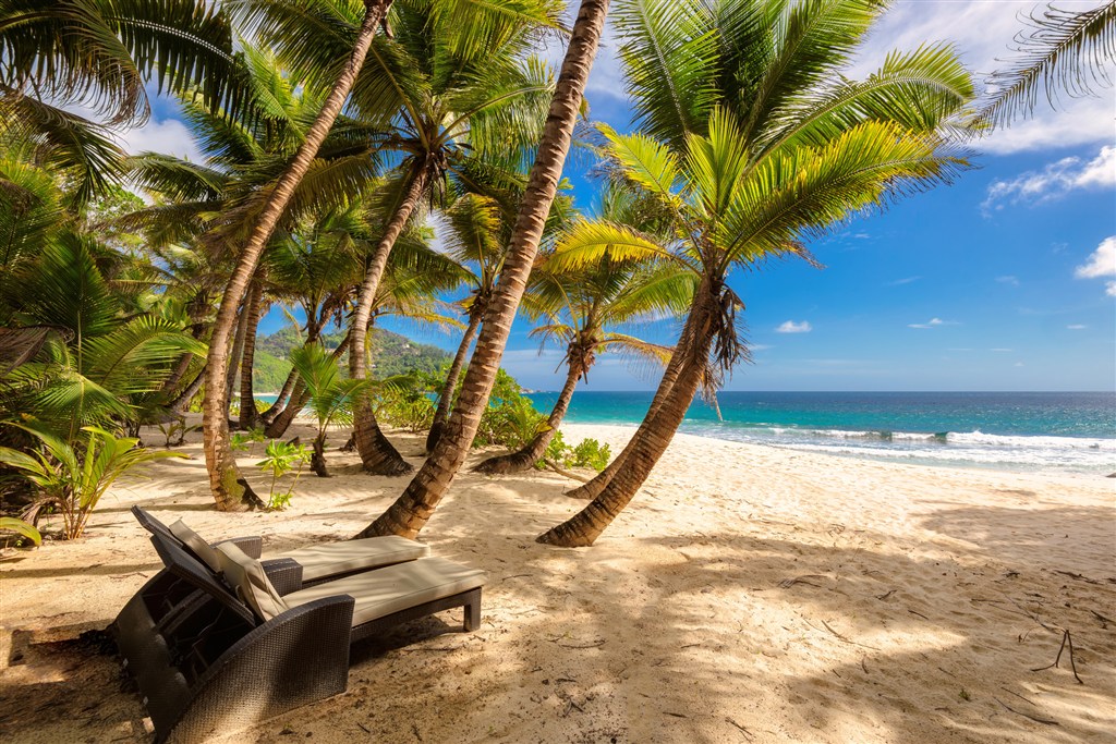 唯美海边沙滩椰树风景图片
