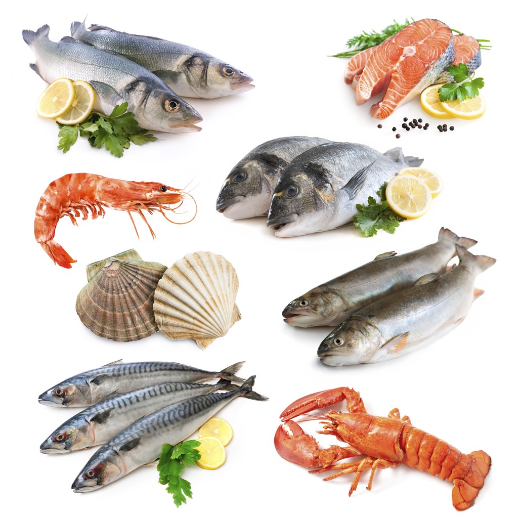 多款鱼虾海鲜食材高清图片