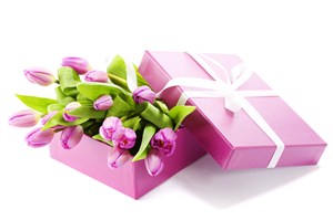 盒装粉紫郁金香鲜花图片