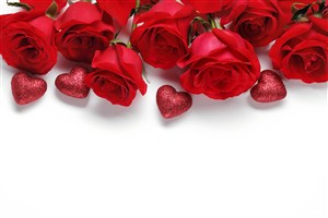 巧克力红玫瑰花图片