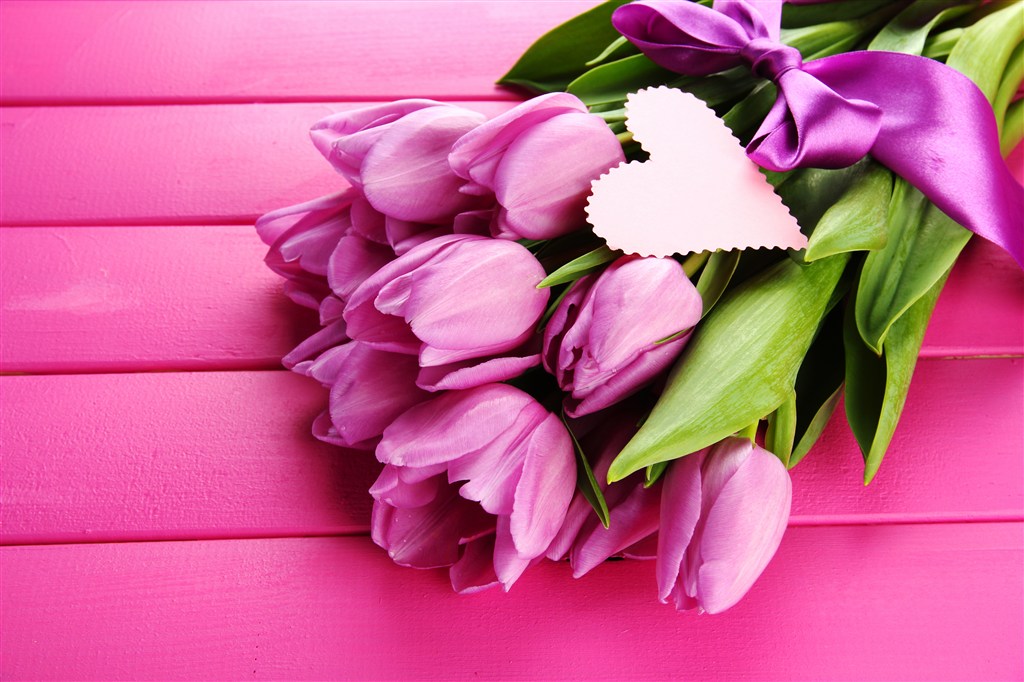粉紫郁金香鲜花图片