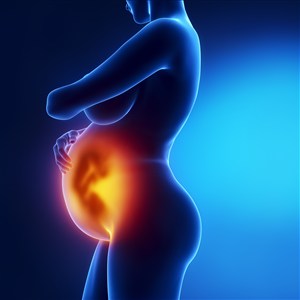 孕妇腹部透视高清图片