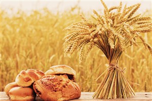 高清麦子麦田面包图片