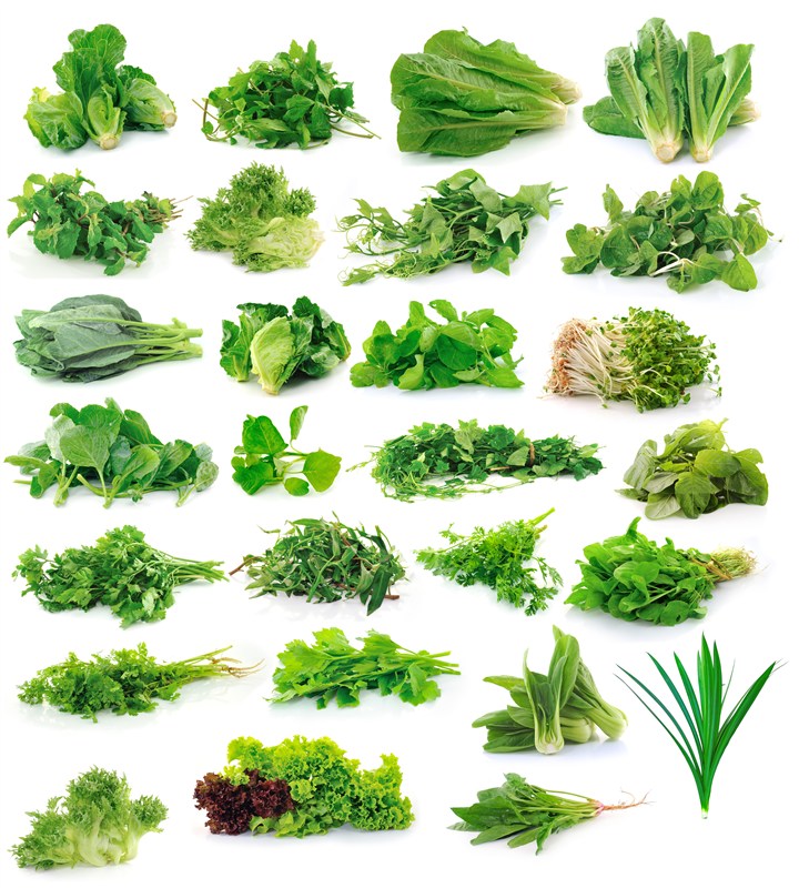 多款绿叶蔬菜合集高清图片