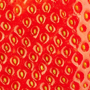 草莓表皮纹理高清