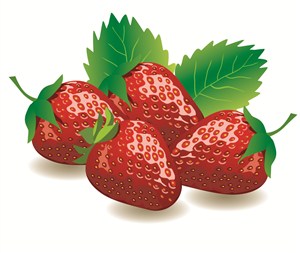 暗红色矢量草莓