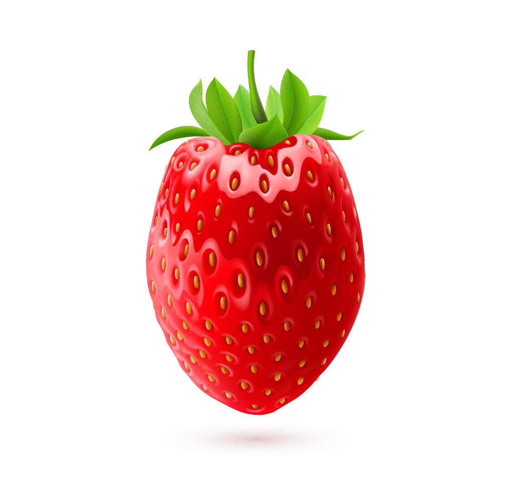 一颗鲜红可口的矢量草莓