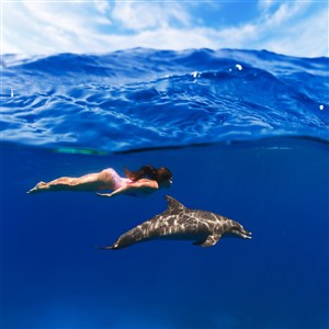 深海里美女与海豚图片