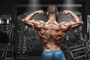 展现背部肌肉的男人图片肌肉男健身健美