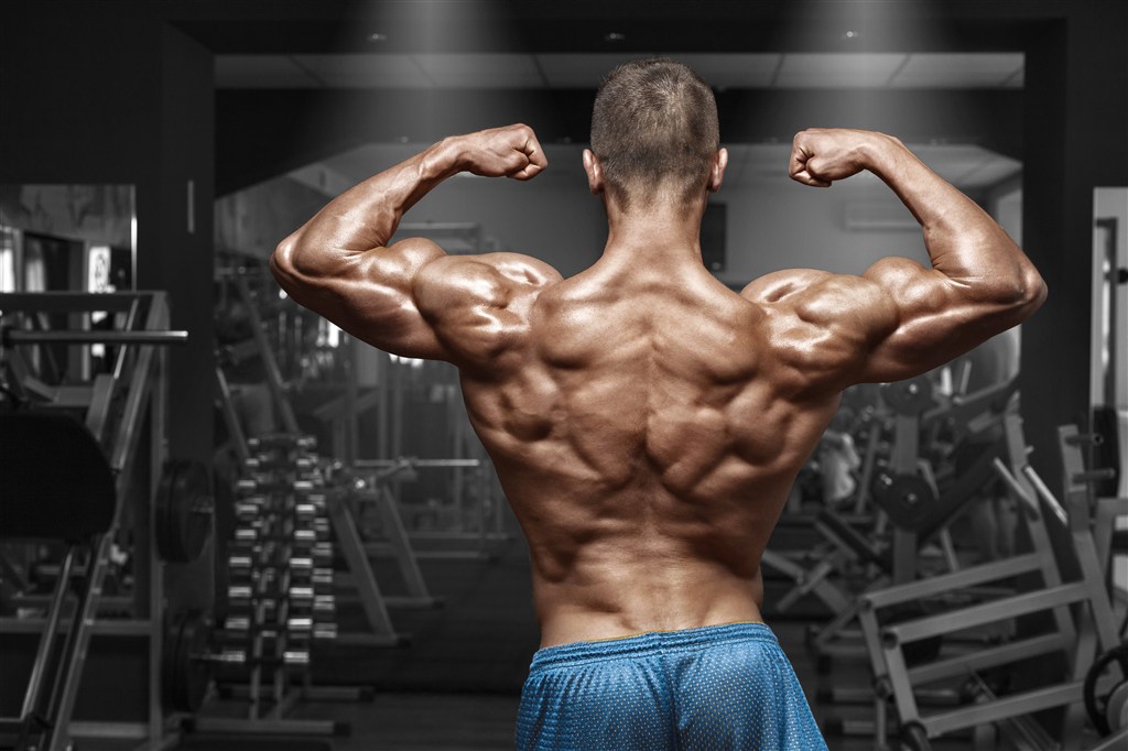 展现背部肌肉的男人图片肌肉男健身健美