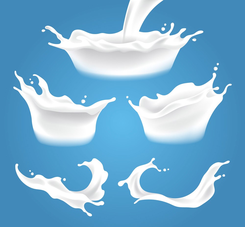 5款动感液态牛奶设计矢量素材