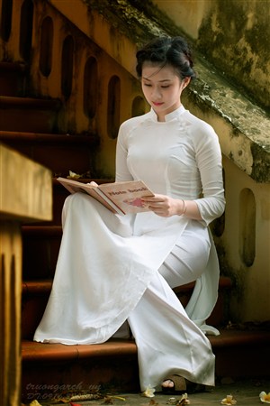 正在看书的越南旗袍美女图片