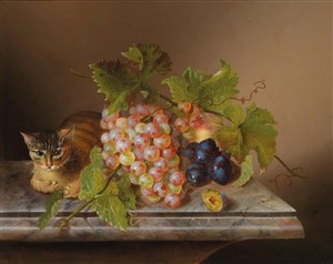 水果与猫油画