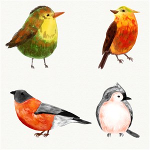 唯美水彩手绘卡通可爱小鸟类插画背景