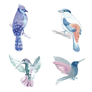 唯美水彩手绘卡通小鸟类插画背景
