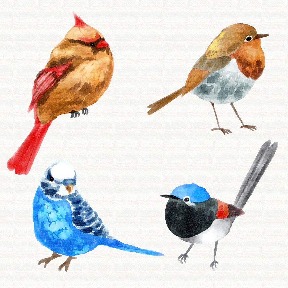 唯美水彩手绘卡通可爱小鸟类插画背景