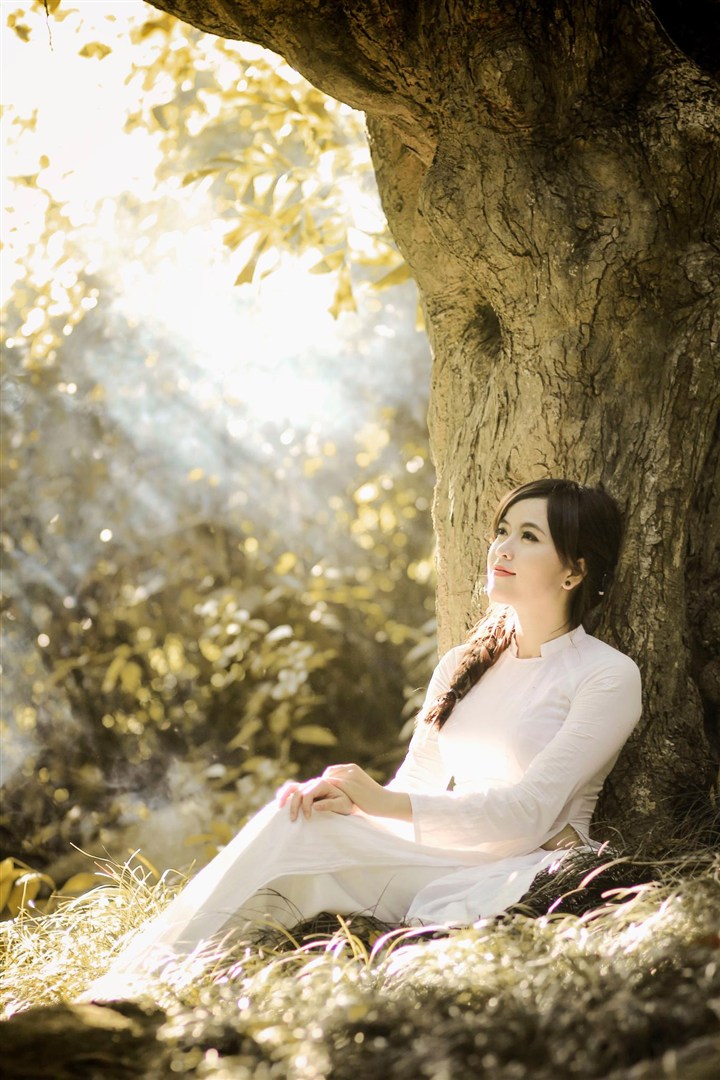 靠在树旁的越南旗袍美女图片