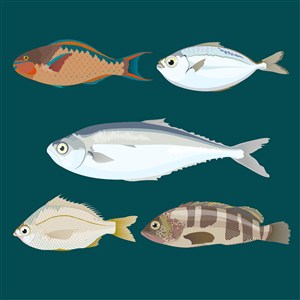 可爱卡通海洋生物动物鱼类海鲜插画插图背景
