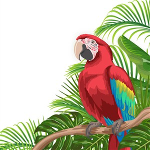 可爱卡通热带植物龟背竹棕榈叶鹦鹉插画背景