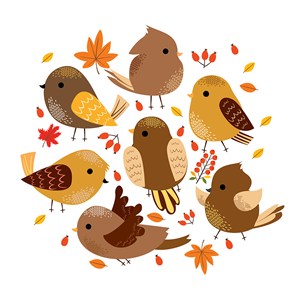可爱卡通手绘秋天棕色小鸟类儿童插画插图背景
