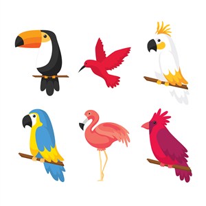 可爱卡通手绘热带鸟类火烈鸟鹦鹉大嘴鸟儿童插画插图背景