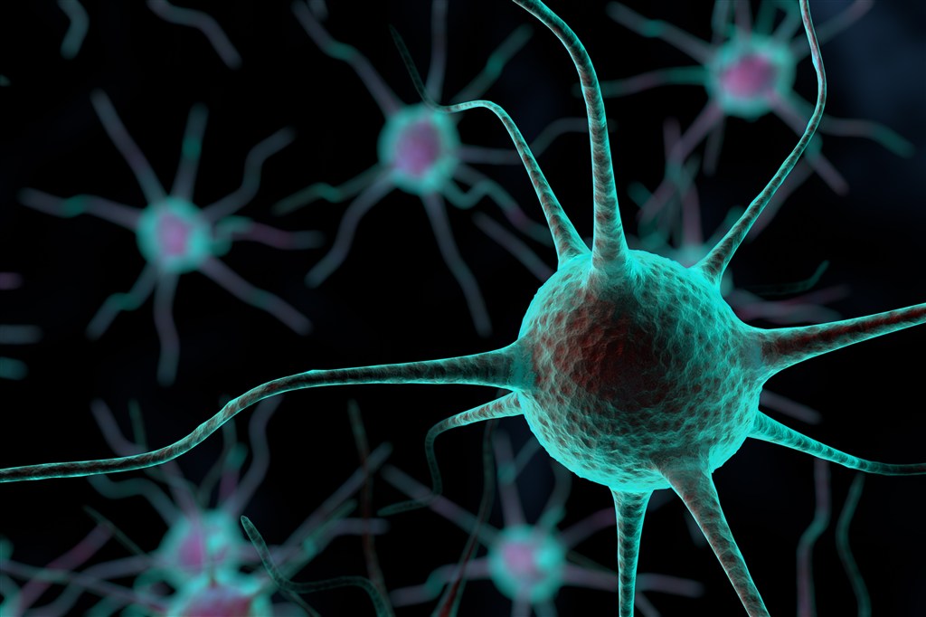 神经网络生物结构高清图片