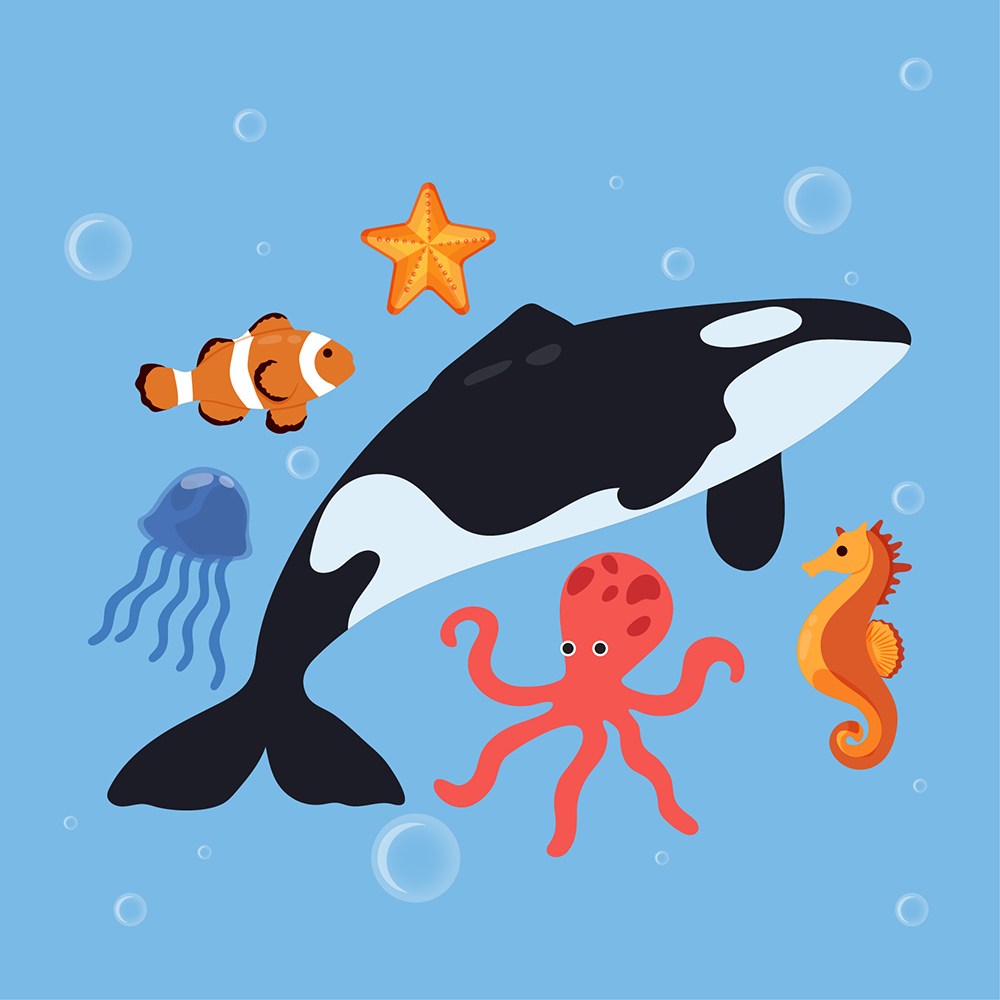可爱卡通海底世界海洋生物动物鱼类鲸鱼章鱼儿童插画插图背景