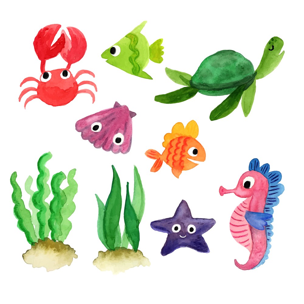 可爱卡通水彩手绘海洋动物螃蟹海星乌龟水草鱼类儿童插画插图背景