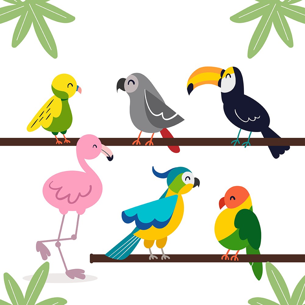 可爱卡通手绘热带小鸟类火烈鸟大嘴鸟鹦鹉儿童插画插图背景